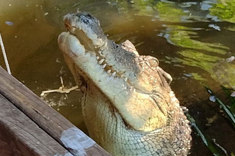 Litchfield Park Adventures And Jumping Crocodile Cruise + Butterfly Farm - Accommodation Batemans Bay 5