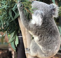 Private Blue Mountains and Wildlife Park Tour from Sydney with Barbecue Lunch - Accommodation Batemans Bay