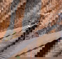 Chillagoe Caves and Outback Day Trip from Cairns - Accommodation Batemans Bay
