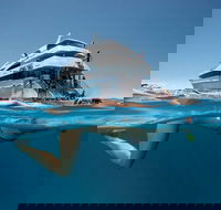 3 Day Great Barrier Reef Daintree Rainforest and Outback Chillagoe Tour - Accommodation Batemans Bay