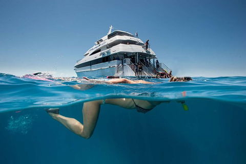 3 Day Great Barrier Reef, Daintree Rainforest And Outback Chillagoe Tour - Accommodation Batemans Bay 0
