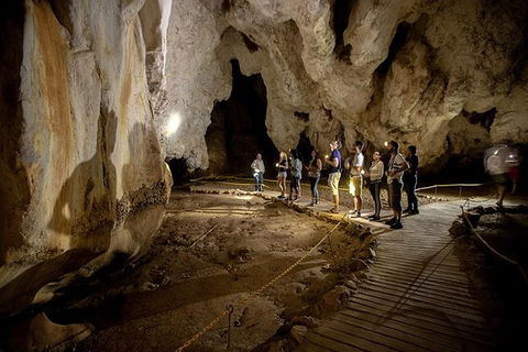 3 Day Great Barrier Reef, Daintree Rainforest And Outback Chillagoe Tour - Accommodation Batemans Bay 1