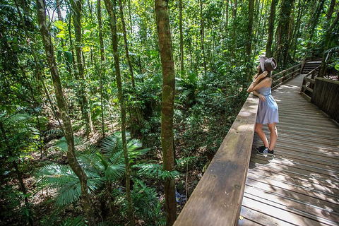 3 Day Great Barrier Reef, Daintree Rainforest And Outback Chillagoe Tour - Accommodation Batemans Bay 3