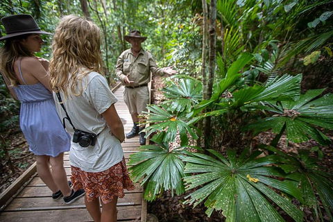 2 Day Daintree Rainforest, Cape Tribulation And Outback Chillagoe Tour - Accommodation Batemans Bay 2