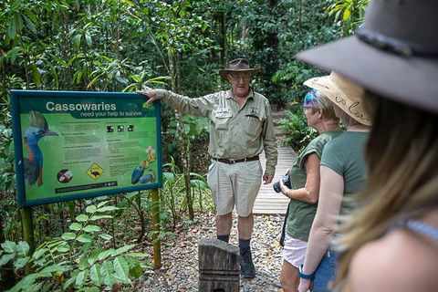 2 Day Daintree Rainforest, Cape Tribulation And Outback Chillagoe Tour - Accommodation Batemans Bay 5
