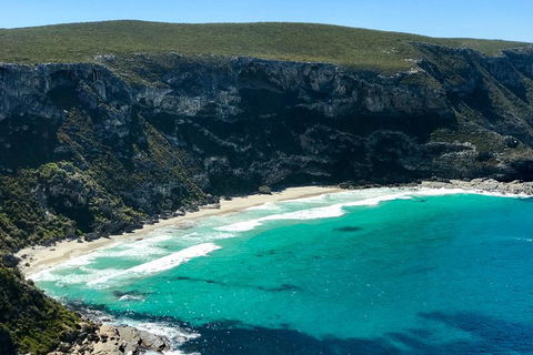 Kangaroo Island Scenic Trail Tour - Accommodation Batemans Bay 4