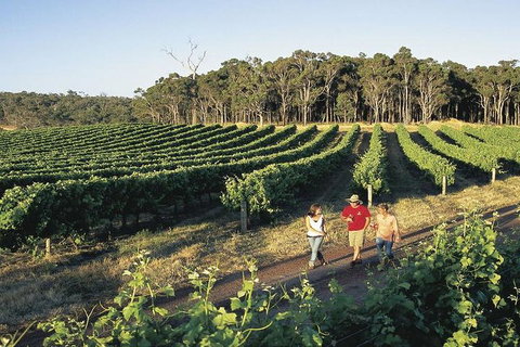 2-Day Margaret River Wine Experience From Perth - Accommodation Batemans Bay 3