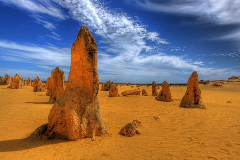 Pinnacles Desert & New Norcia Day Tour From Perth - Accommodation Batemans Bay 0