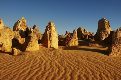 Full Day Pinnacle Desert Explorer From Perth Including Hillarys And Lancelin Sandboarding - Accommodation Batemans Bay 3