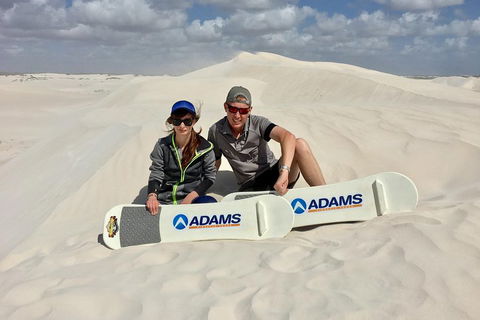 Full Day Pinnacle Desert Explorer From Perth Including Hillarys And Lancelin Sandboarding - Accommodation Batemans Bay 4