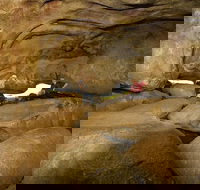 2-Day Wave Rock York Wildflowers  Aboriginal Experience - Accommodation Batemans Bay