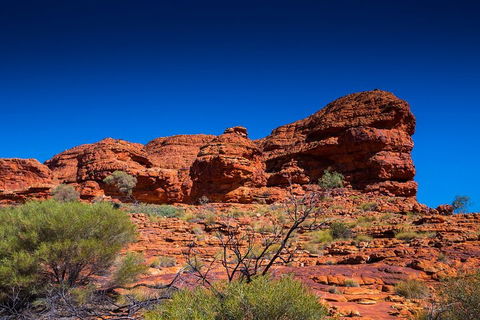 7-Day Guided Tour Of Alice Springs With Accommodation Included - Accommodation Batemans Bay 4