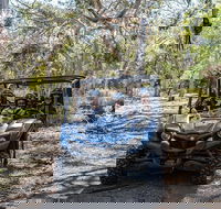 Small-Group Buggy Tour at Little Sahara with Guide - Accommodation Batemans Bay