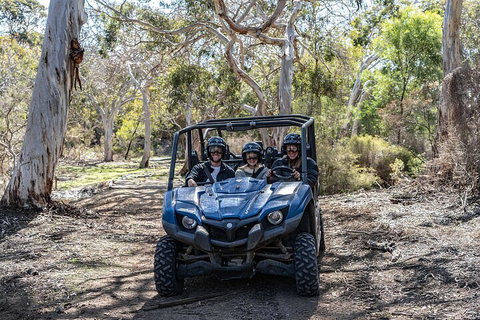 Small-Group Buggy Tour At Little Sahara With Guide - Accommodation Batemans Bay 0