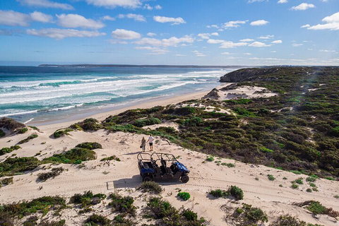 Small-Group Buggy Tour At Little Sahara With Guide - Accommodation Batemans Bay 1