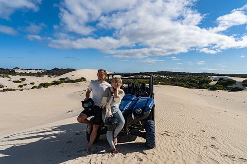 Small-Group Buggy Tour At Little Sahara With Guide - Accommodation Batemans Bay 2