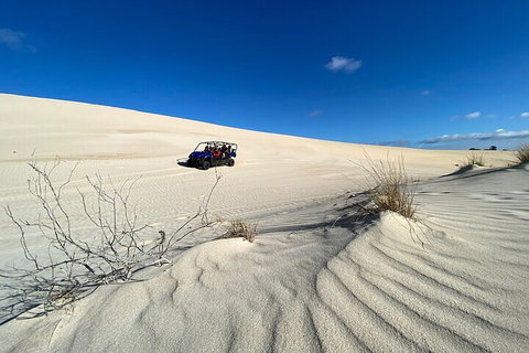 Small-Group Buggy Tour At Little Sahara With Guide - Accommodation Batemans Bay 3