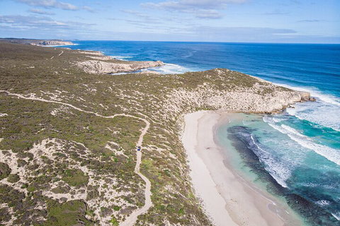 Small-Group Buggy Tour At Little Sahara With Guide - Accommodation Batemans Bay 4