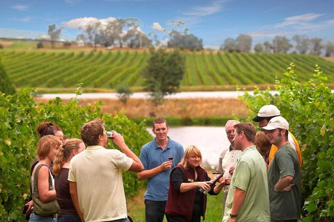 Yarra Valley Wine And Winery Tour From Melbourne - Accommodation Batemans Bay 0