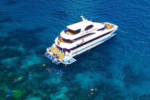 Great Barrier Reef Snorkeling And Diving Cruise From Cairns - Accommodation Batemans Bay 5