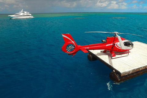 Full Day Reef Cruise Including 10 Minute Heli Scenic Flight: Get High Package - Accommodation Batemans Bay 3