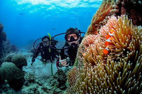 Full Day Reef Cruise Including 10 Minute Heli Scenic Flight: Get High Package - Accommodation Batemans Bay 5