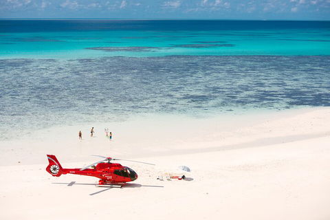 Private Helicopter Tour: Reef Island Snorkeling And Gourmet Picnic Lunch - Accommodation Batemans Bay 2
