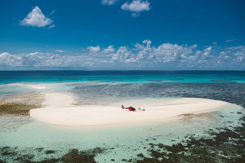 Private Helicopter Tour: Reef Island Snorkeling And Gourmet Picnic Lunch - Accommodation Batemans Bay 4