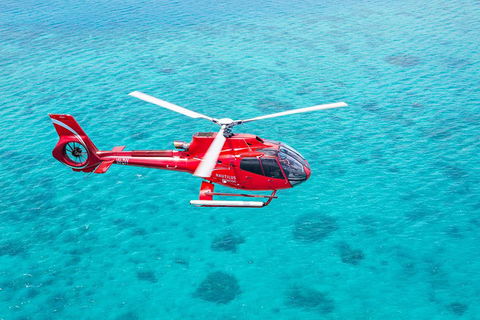 Cruise To Moore Reef Pontoon And Return Helicopter Flight From Cairns - Accommodation Batemans Bay 1