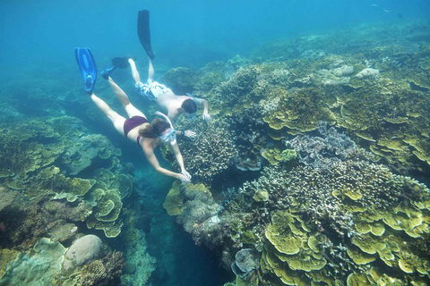 Cruise To Moore Reef Pontoon And Return Helicopter Flight From Cairns - Accommodation Batemans Bay 3