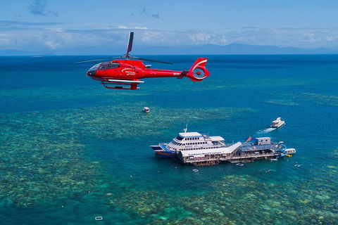 Cruise To Moore Reef Pontoon And Return Helicopter Flight From Cairns - Accommodation Batemans Bay 4