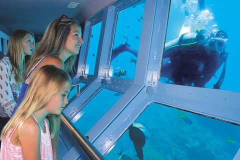 Helicopter And Cruise Packages From Port Douglas - Accommodation Batemans Bay 0