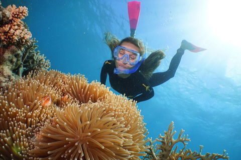 Helicopter And Cruise Packages From Port Douglas - Accommodation Batemans Bay 3