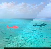Port Douglas Scenic Flights - Accommodation Batemans Bay