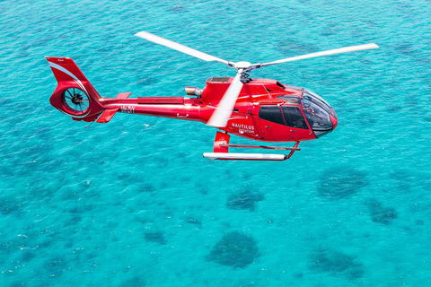 Port Douglas Scenic Flights - Accommodation Batemans Bay 2