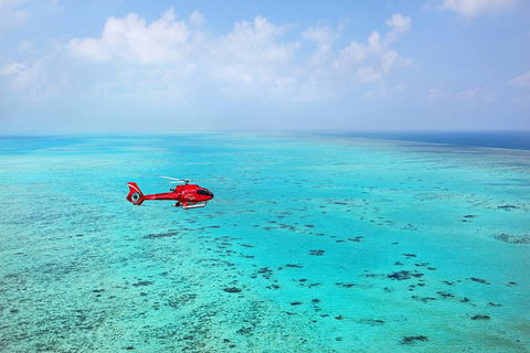 Port Douglas - Cruise And 10 Minute Scenic Flight - Accommodation Batemans Bay 1