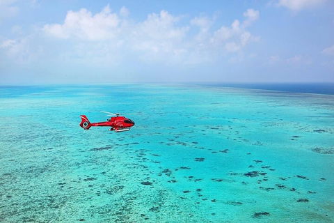 Ultimate Great Barrier Reef And Rainforest 45-minute Helicopter Tour - Accommodation Batemans Bay 2