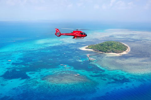 Ultimate Great Barrier Reef And Rainforest 45-minute Helicopter Tour - Accommodation Batemans Bay 4