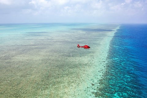 Ultimate Great Barrier Reef And Rainforest 45-minute Helicopter Tour - Accommodation Batemans Bay 5