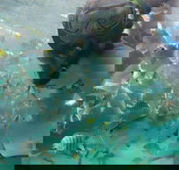 2-Day Moreton Island 4WD Camping Tour from Brisbane - Accommodation Batemans Bay