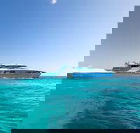 Rottnest Island All-Inclusive Grand Island Tour from Fremantle - Accommodation Batemans Bay