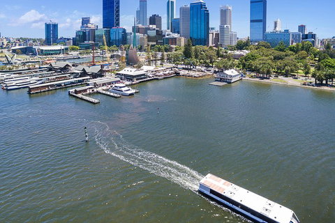 Summer Lunch Cruise - Accommodation Batemans Bay 2