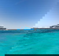 Rottnest Island Fortress Adventure Segway Package from Fremantle - Accommodation Batemans Bay