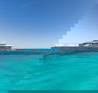 Rottnest Island Bayseeker Day Trip from Perth - Accommodation Batemans Bay