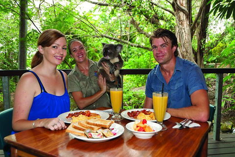 Breakfast With The Koalas At Hartley's Crocodile Park From Cairns Or Palm Cove - Accommodation Batemans Bay 0