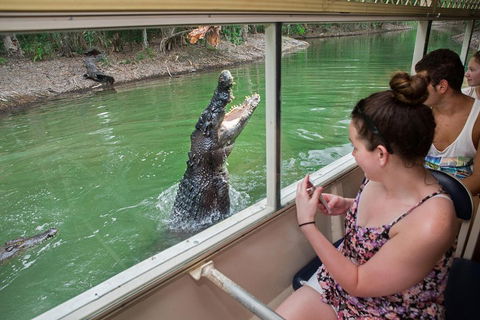 Hartley's Crocodile Adventures Day Trip From Cairns - Accommodation Batemans Bay 3