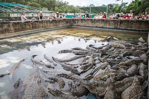 Hartley's Crocodile Adventures Day Trip From Palm Cove - Accommodation Batemans Bay 0