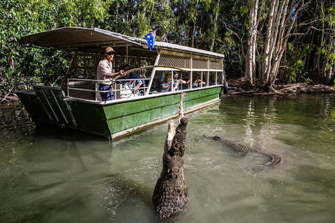 Hartley's Crocodile Adventures Day Trip From Palm Cove - Accommodation Batemans Bay 2