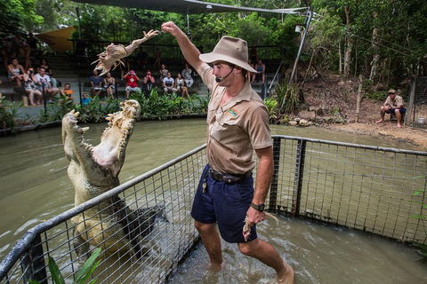 Hartley's Crocodile Adventures Day Trip From Palm Cove - Accommodation Batemans Bay 4
