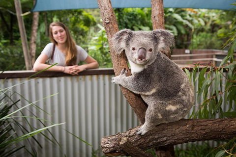 Hartley's Crocodile Adventures Day Trip From Palm Cove - Accommodation Batemans Bay 5